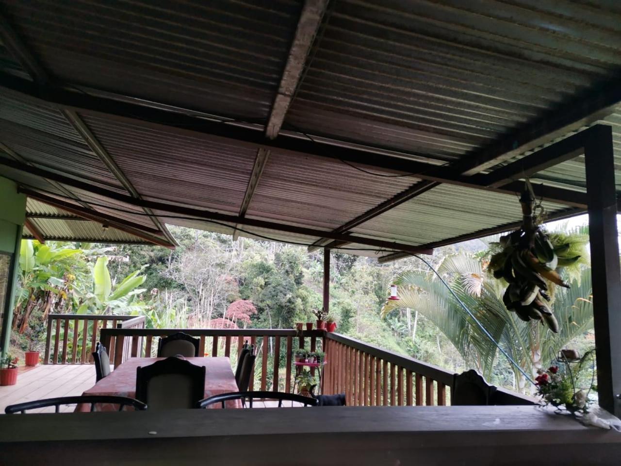 Bella Vista Guest House Turrialba Exterior photo