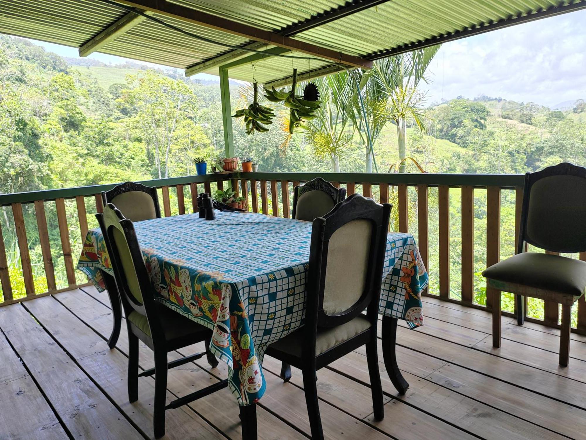 Bella Vista Guest House Turrialba Exterior photo
